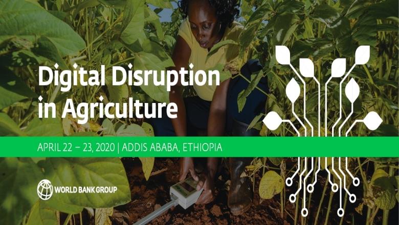 Mass deportations could disrupt US food supply chain, experts say - FreightWaves 2 Critical Analysis of Potential Disruption and Impact on Agriculture Sector