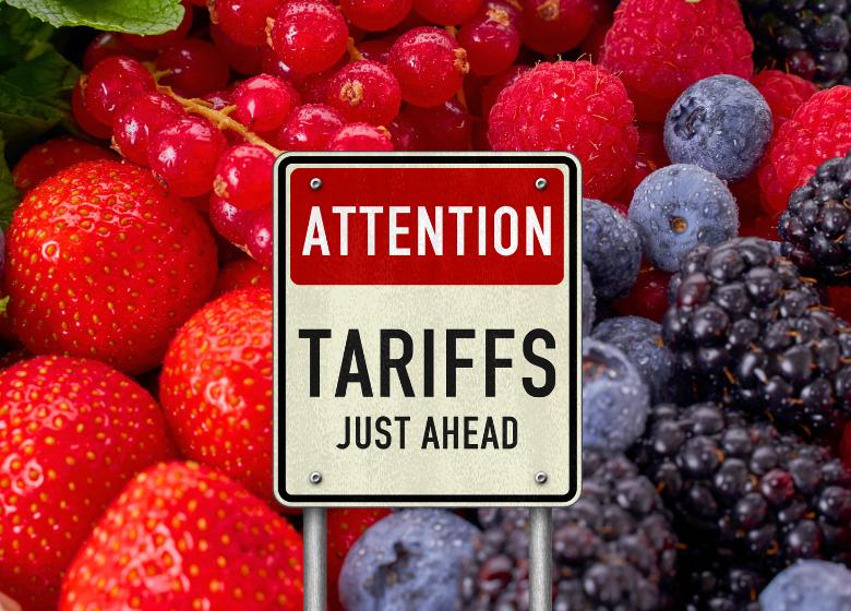Navigating Tariff Turmoil with Data-Driven Supplier Relationship Management – Institute for Supply Management News