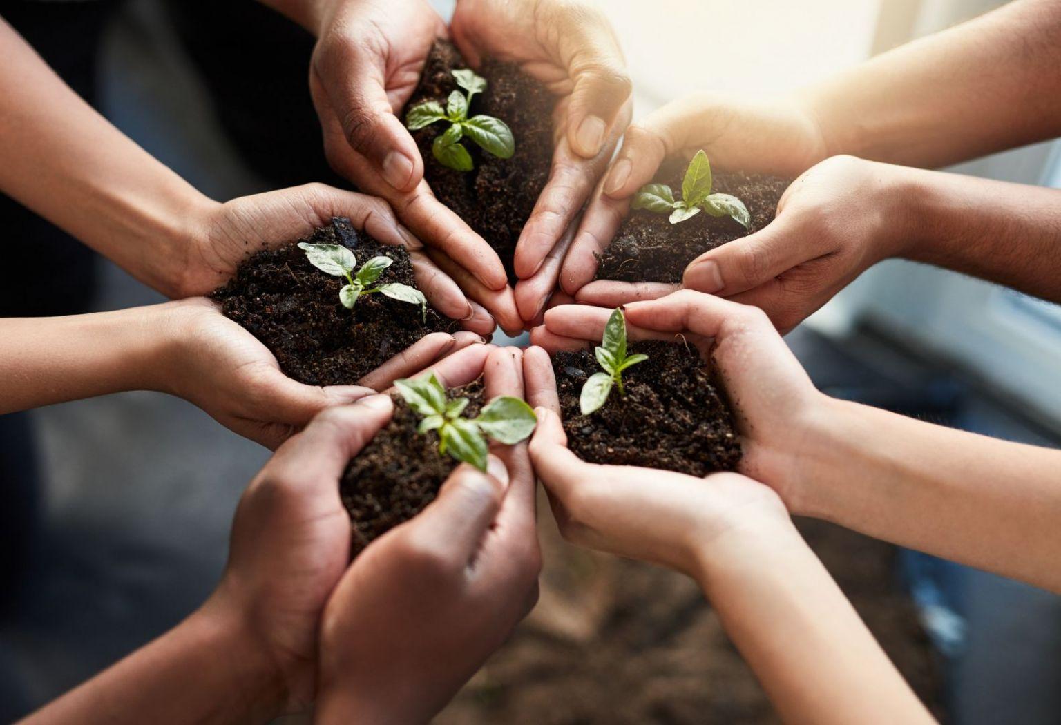 Sustainability Initiatives Driving Supply Chain Resilience