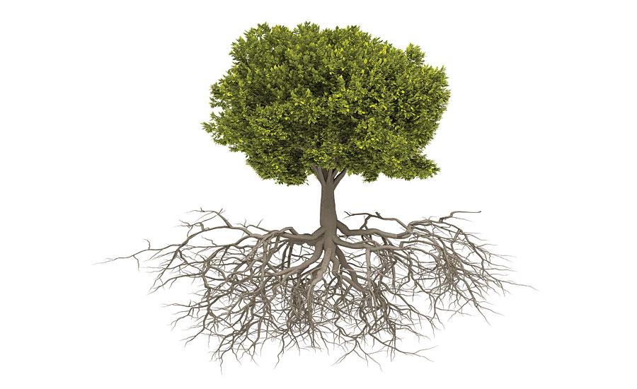 Supply chain issues delay A350F EIS to 2027 - report - ch-aviation 3 Analysis of Root Causes Behind Delay